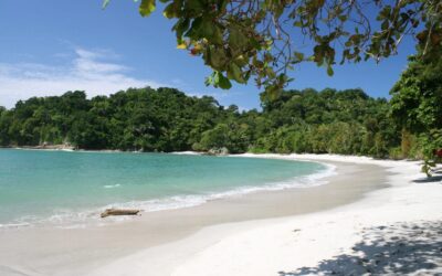 Astuto Travel la Mejor Compañía para Viajar a Costa Rica